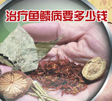 ۲ҪǮ